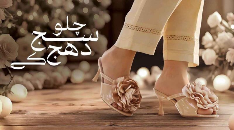 stylo shoe sale 2025